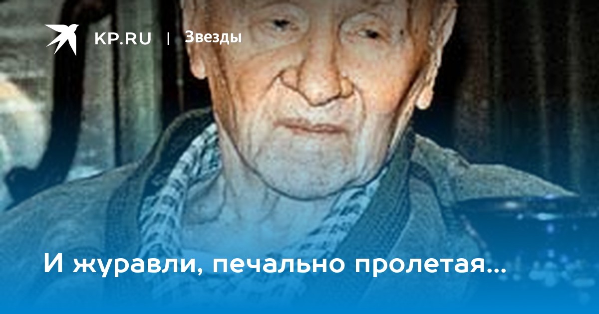 И журавли, печально пролетая... - KP.RU