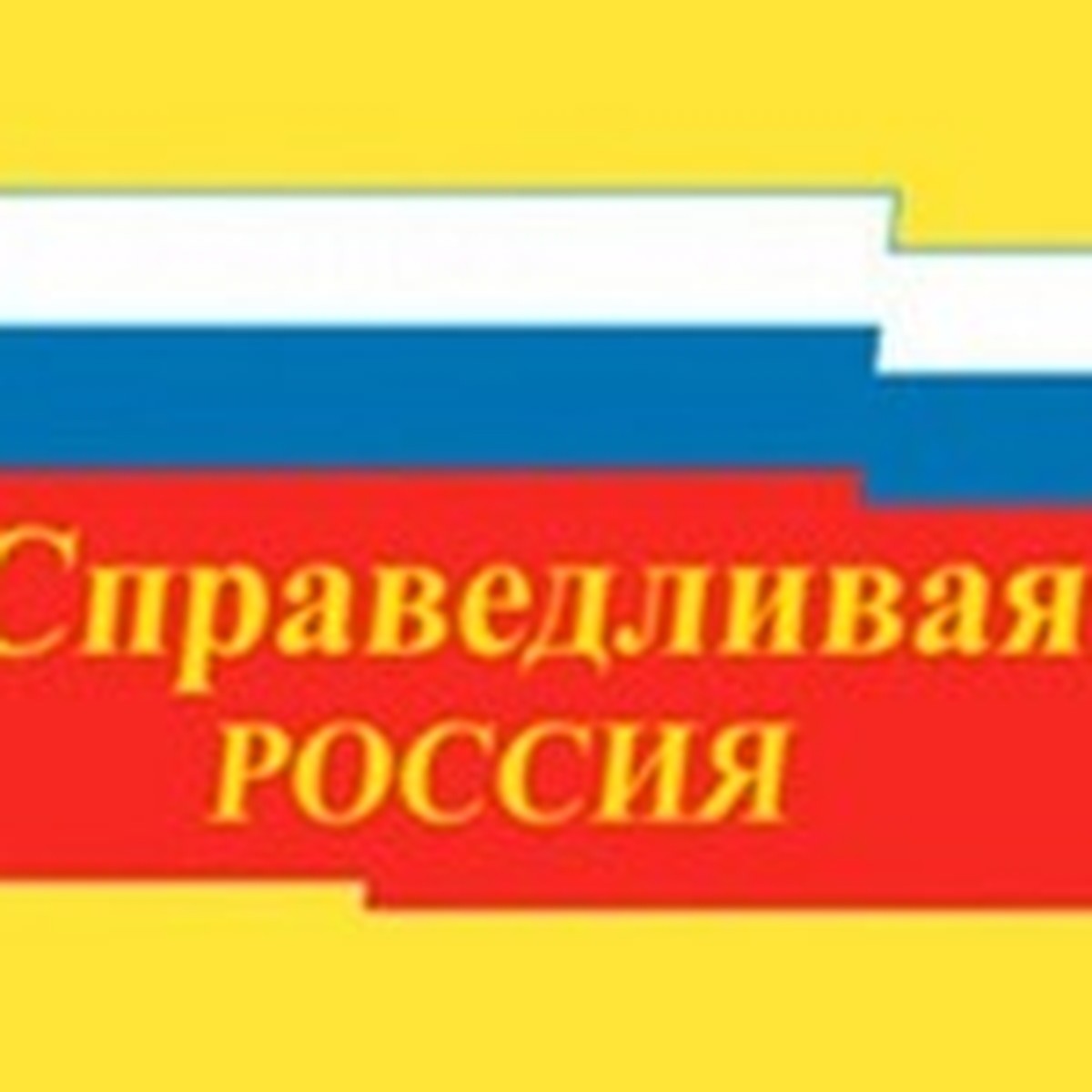 Список кандидатов в депутаты Госдумы от партии «Справедливая Россия» по  Хабаровскому краю, Сахалинской области и ЕАО - KP.RU