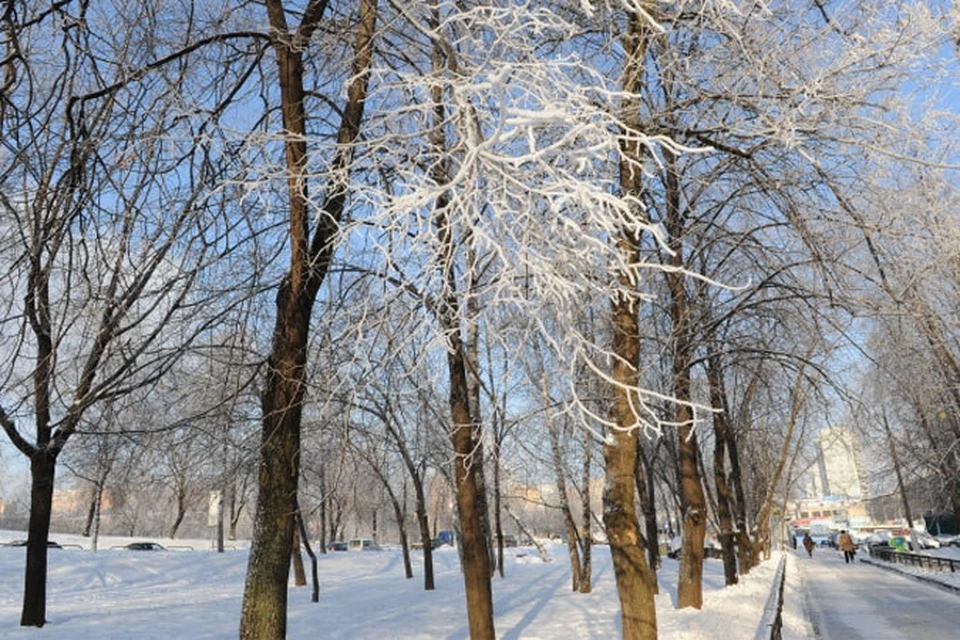 Морозы трещат практически по всей России уже почти три недели