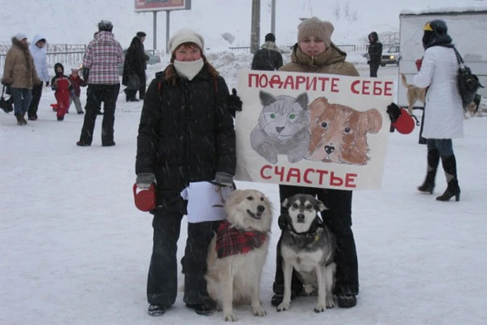 Два года подряд в Мурманске проходит акция «Ищу Человека».
