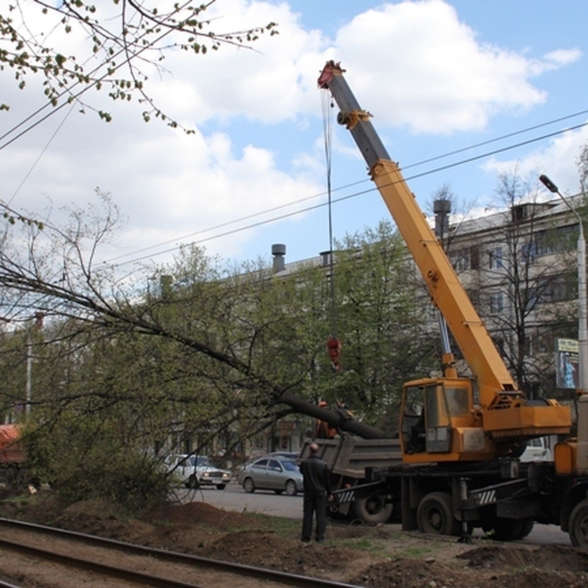 Зачем в Уфе вырубают деревья? - KP.RU