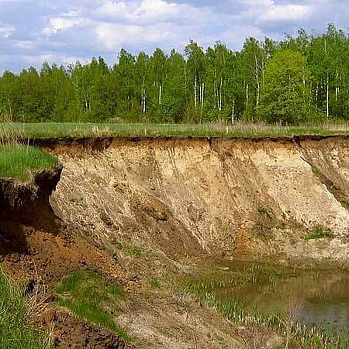 Тамбовский мистический маршрут: Старинная усадьба, море и Бездушный куст -  KP.RU