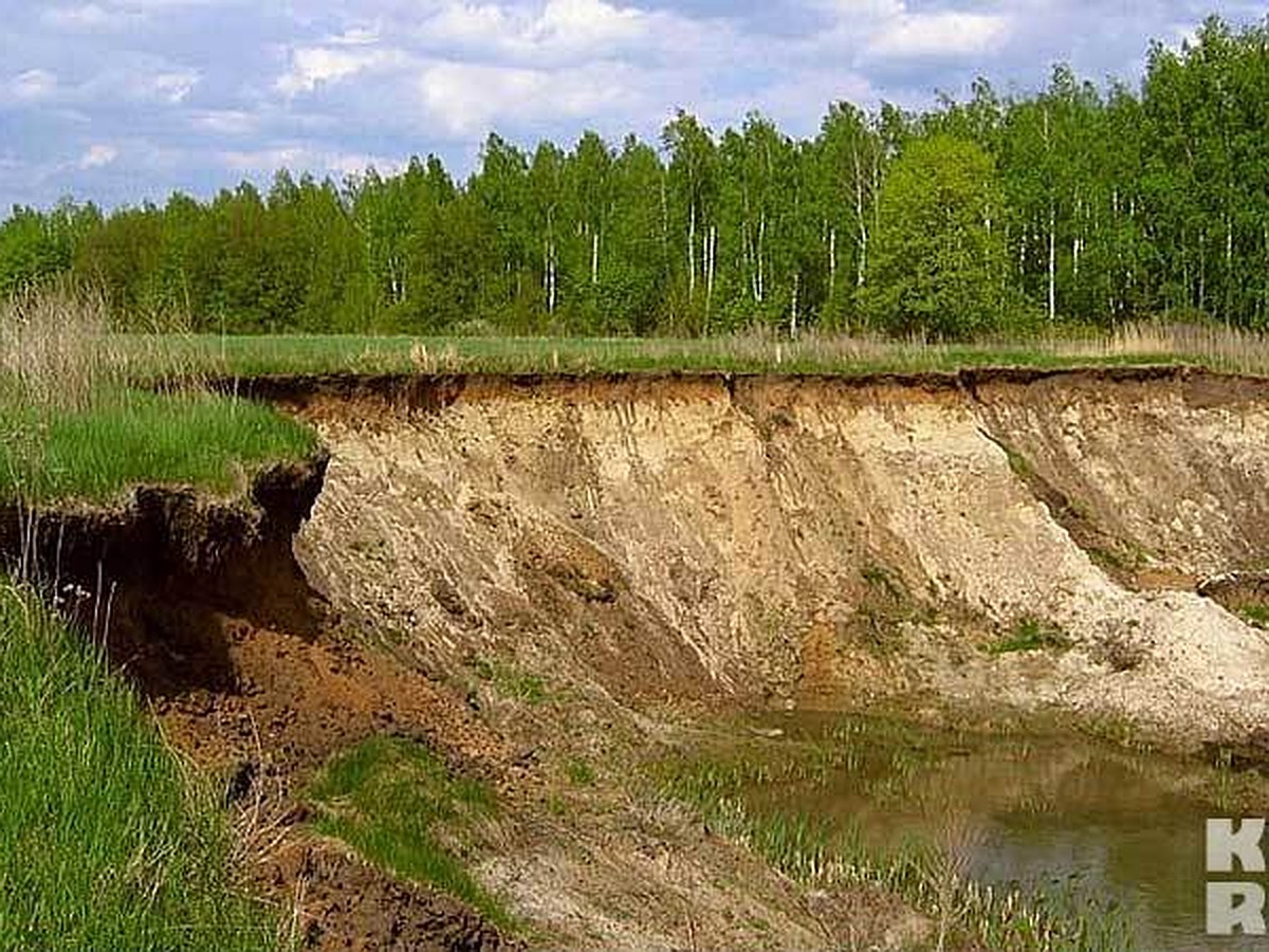 Тамбовский мистический маршрут: Старинная усадьба, море и Бездушный куст -  KP.RU