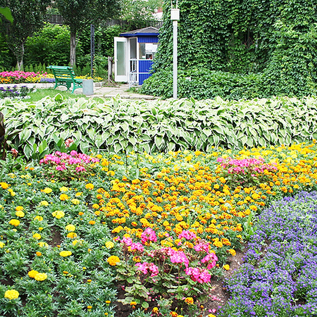 Ботанический сад Минск (32 фото)