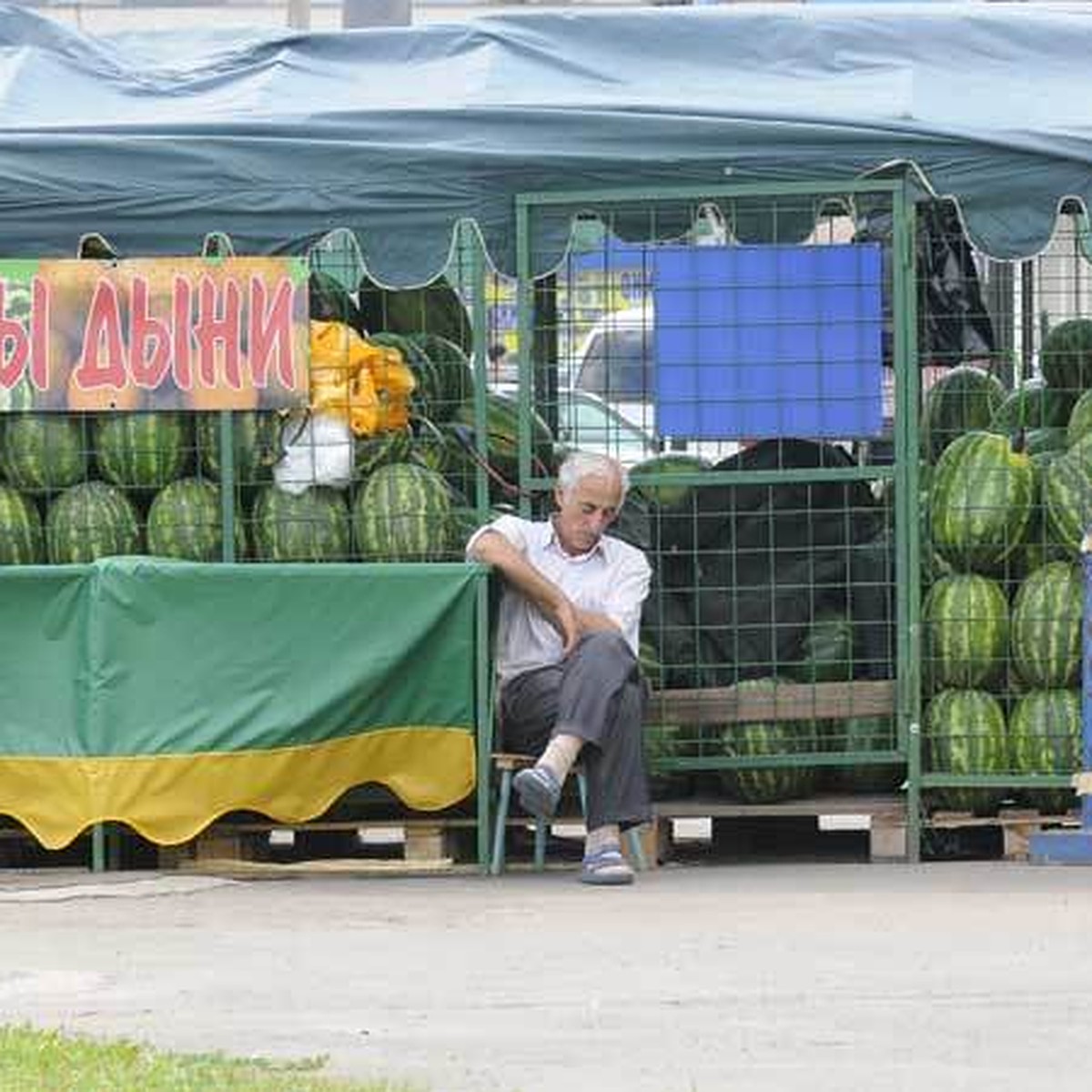 В Ульяновске определили точки для продажи арбузов - KP.RU