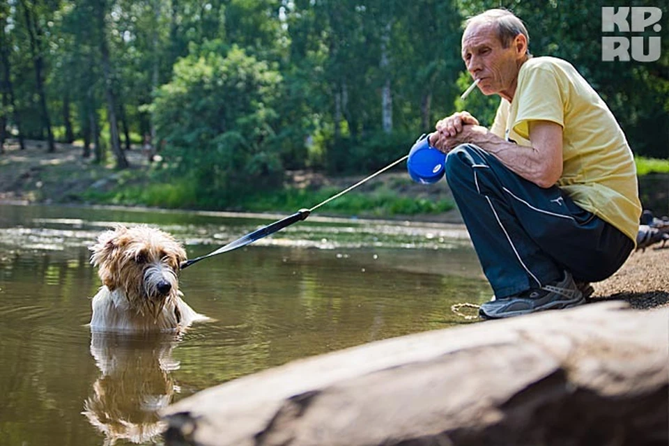 Последние несколько лет в Екатеринбурге действует программа по созданию площадок для выгула собак, но пока что их только пять