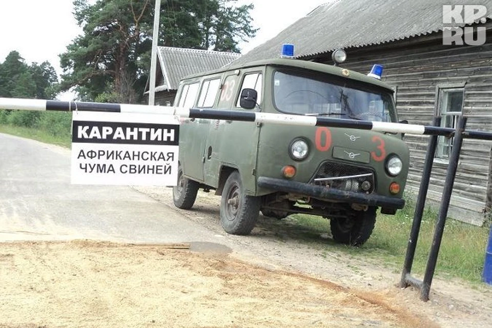 Санпосты не защищены от посягательств пьяных хулиганов