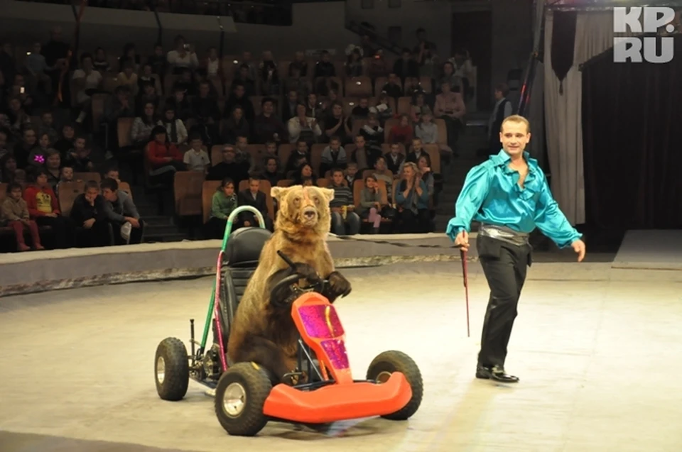 Первое выступление цирка Юрия Никулина состоялось 13 сентября в 17.00.