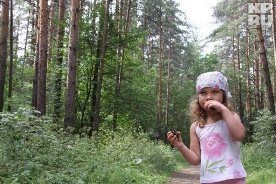 Тверская область оказалась в десятке экологически чистых регионов