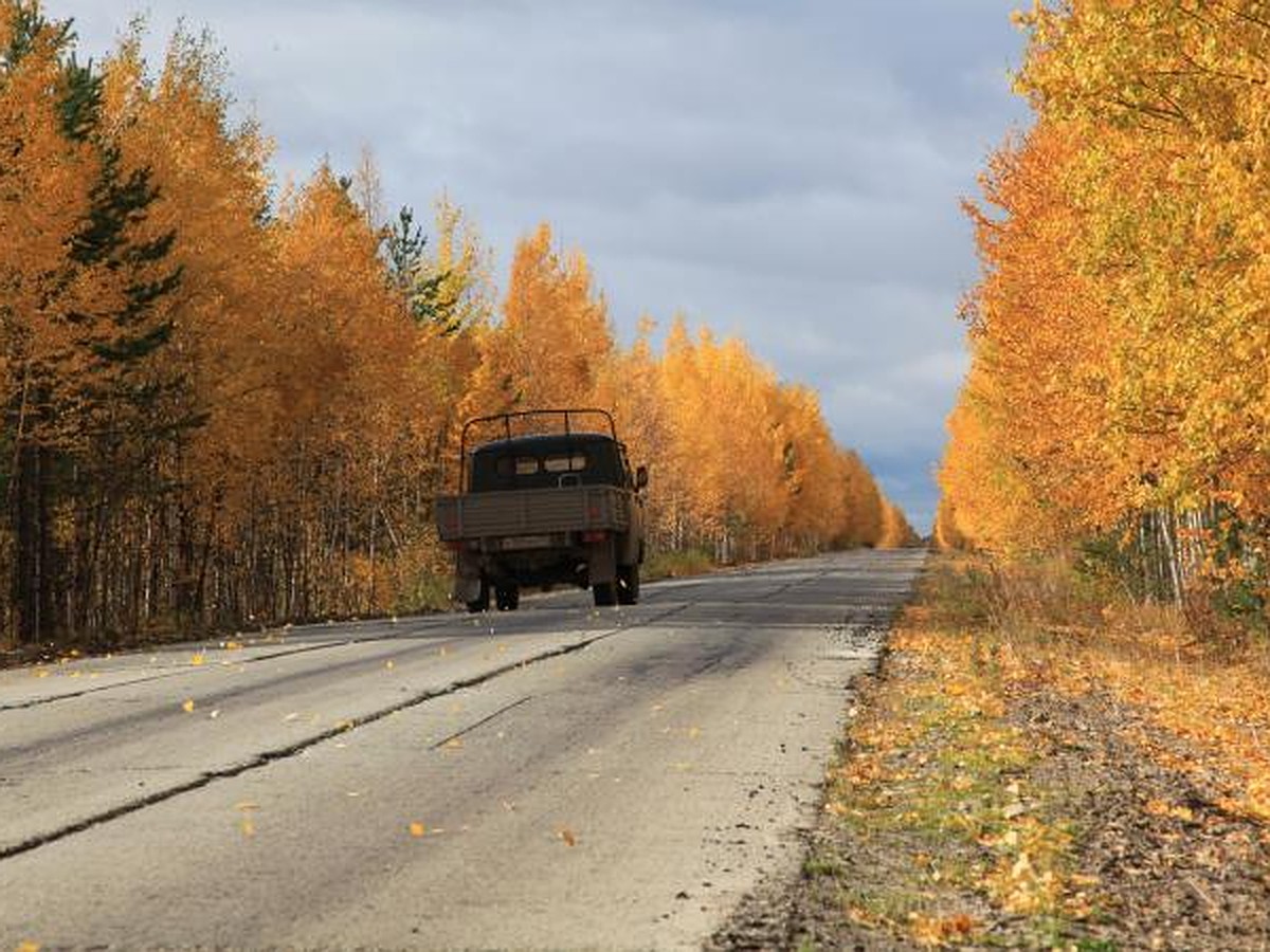 Оптимальный подход - KP.RU