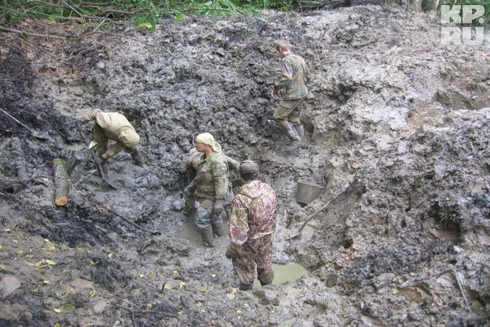 Летом 2012 года искатели солдатских судеб из отряда «Эдельйвес» обнаружили неподалеку от деревни Демкино Ржевского района немецкий самолет