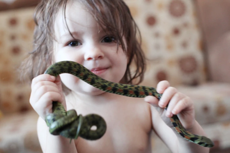Ребенок держит змею. Мальчик держит змею. Держи змейку. Ребенок со змеей фотосессия в саду. Рука держит змею.