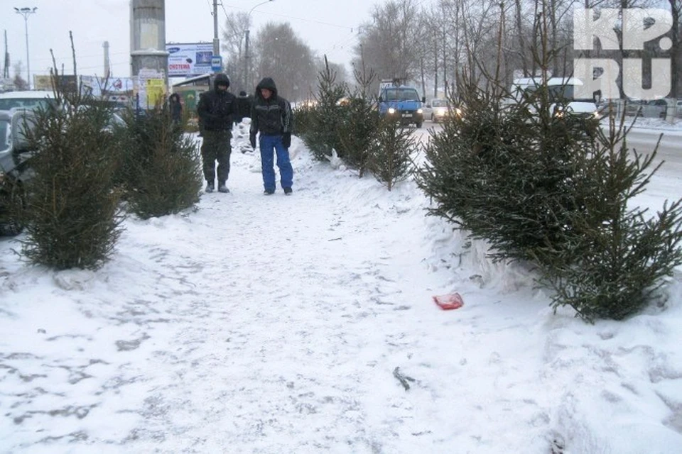 Ёлочный базар в Бывалове работает прямо на тротуаре