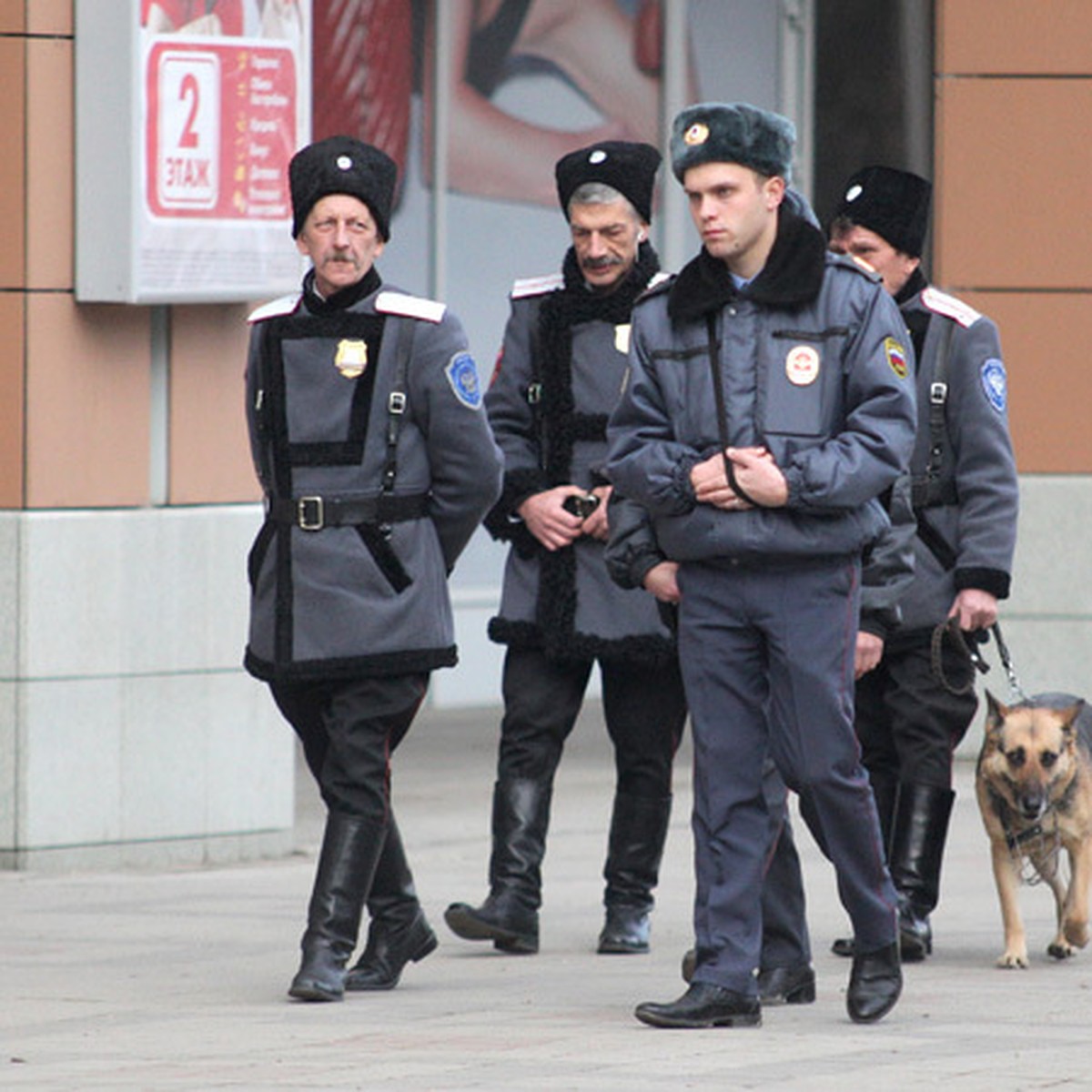 Полиция ЮФО против того, чтобы казакам на Кубани давали оружие - KP.RU