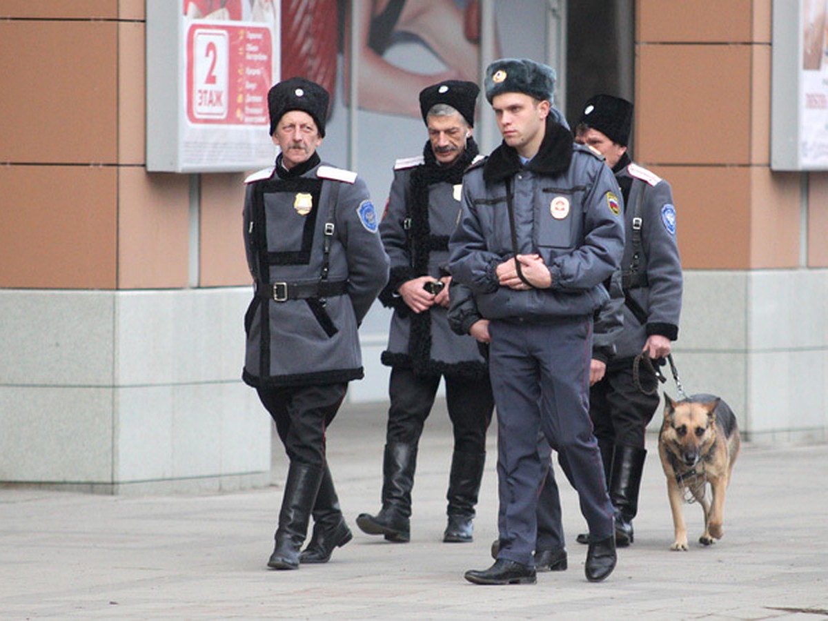 Полиция ЮФО против того, чтобы казакам на Кубани давали оружие - KP.RU