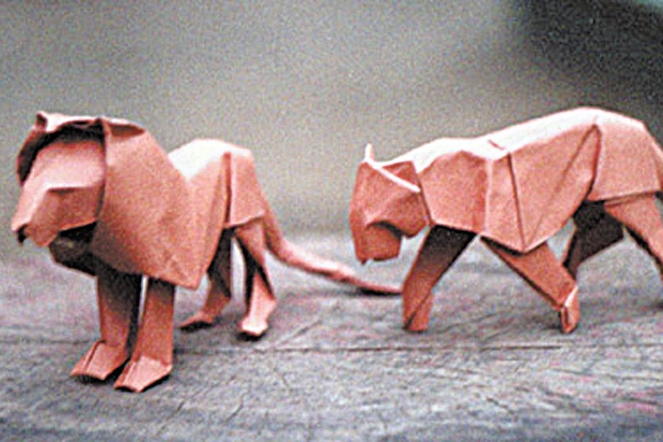 Оригами схема по сборке попугая Кеа