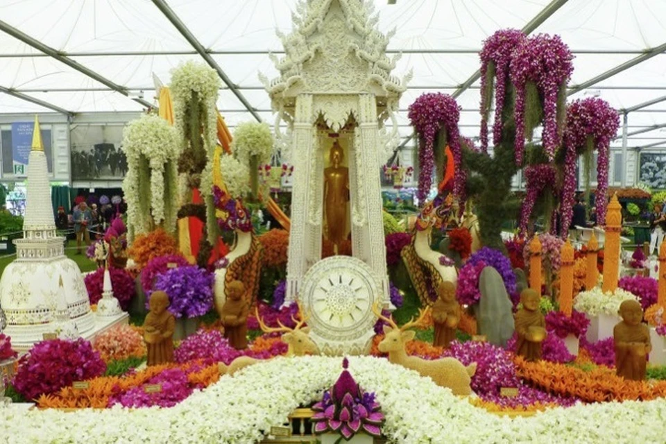 Выставка цвета. Фестиваль цветов в Челси Chelsea Flower show. Праздник цветов в Англии. Выставка цветов фестиваль. Праздник цветов и садов в Великобритании.