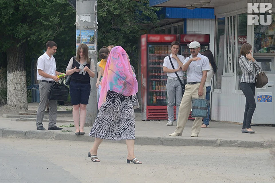 Когда пропадет мошка в волгограде. Мошкара в Волгограде. Мошка в Волгограде 2022. Гнус в Волгограде. Мошка в Волгограде.