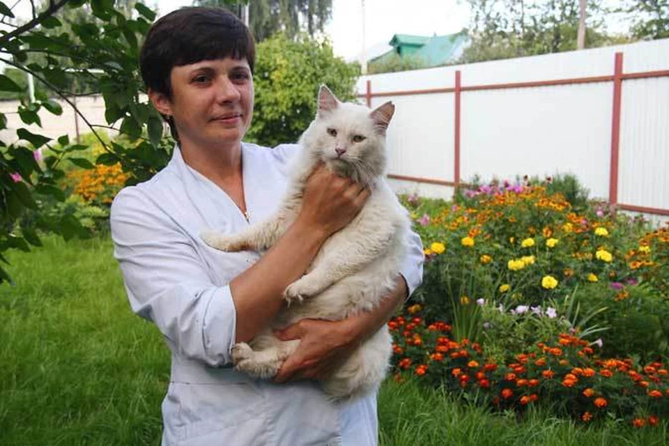 В клинике считают кота Василия своим коллегой.