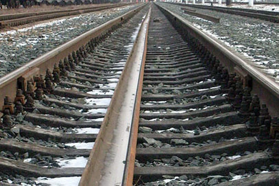 Поезд врезался в стадо овец, потому что хозяева оставили их без ...