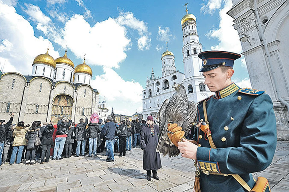 На Соборной площади Московского Кремля туристы могут встретить сотрудников ФСО с ястребами. Эти птицы защищают тут золотые купола соборов от ворон.