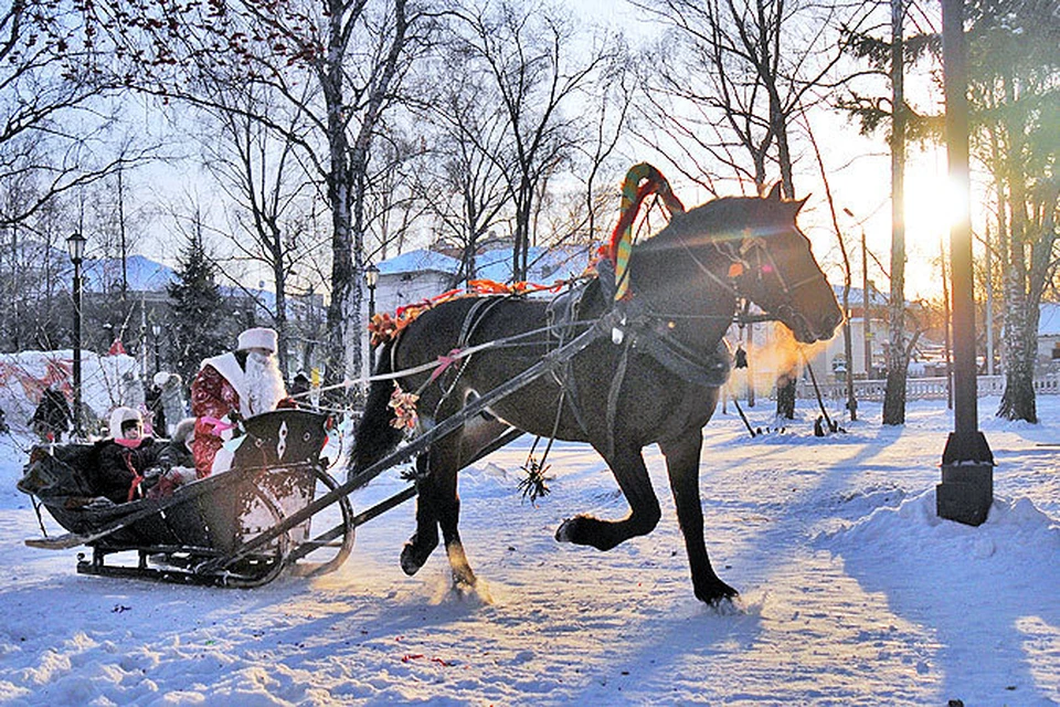 Год лошади