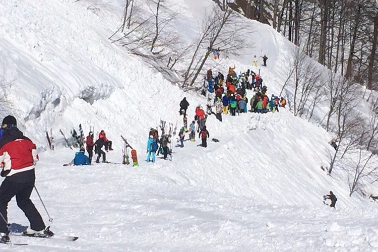 Погибших от лавины на «Розе Хутор» лыжников похоронили