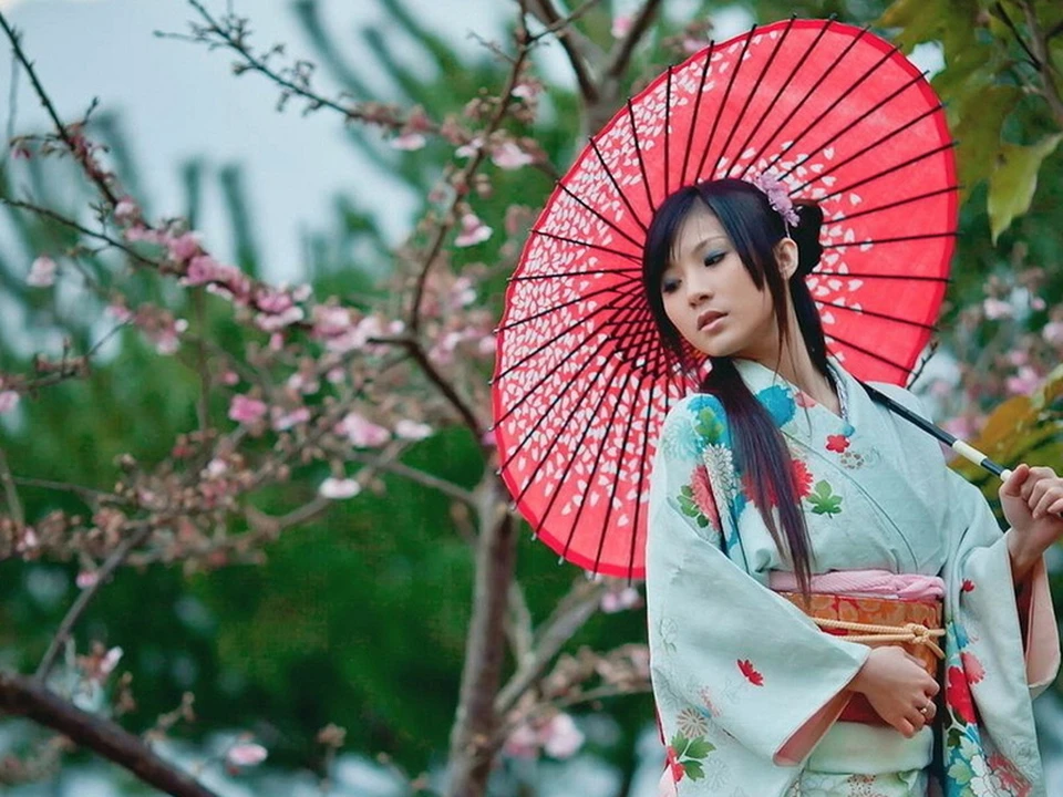 В Японии цветущая вишня символизирует хрупкую красоту жизни
