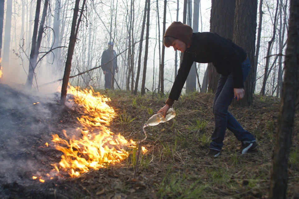 Можно ли жечь ветки на своем участке. Жечь костер. Жечь костер в лесу. Лесные пожары Кузбасс.
