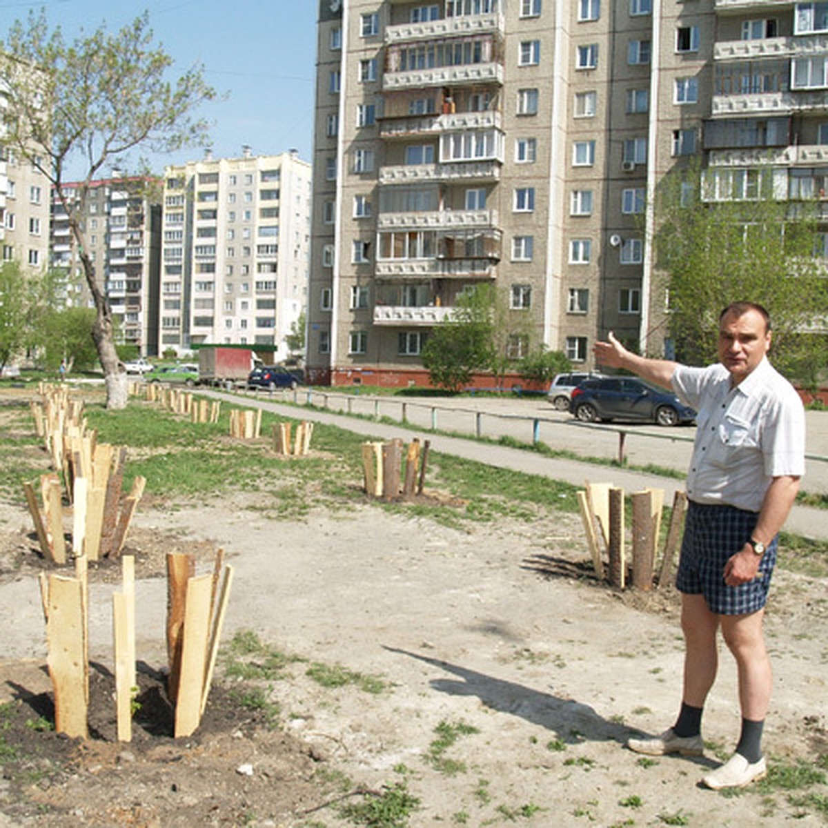 В Челябинске появится единственный на Урале Парк каштанов - KP.RU