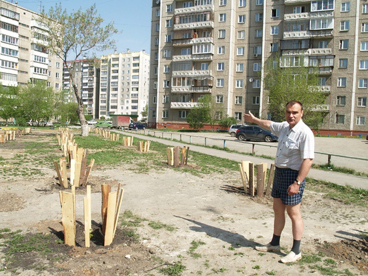 В Челябинске появится единственный на Урале Парк каштанов - KP.RU