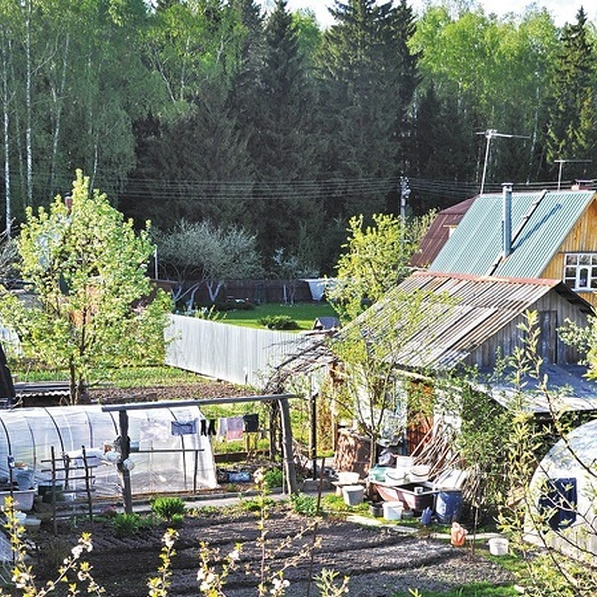 Помощь на электроснабжение дачных поселков можно получить от городских  властей - KP.RU