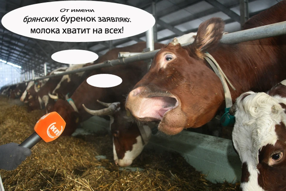 Эксперты уверяют: эмбарго не только не вызовет дефицита продуктов в брянских магазинах, но и подстегнет сельхозпроизводителя.
