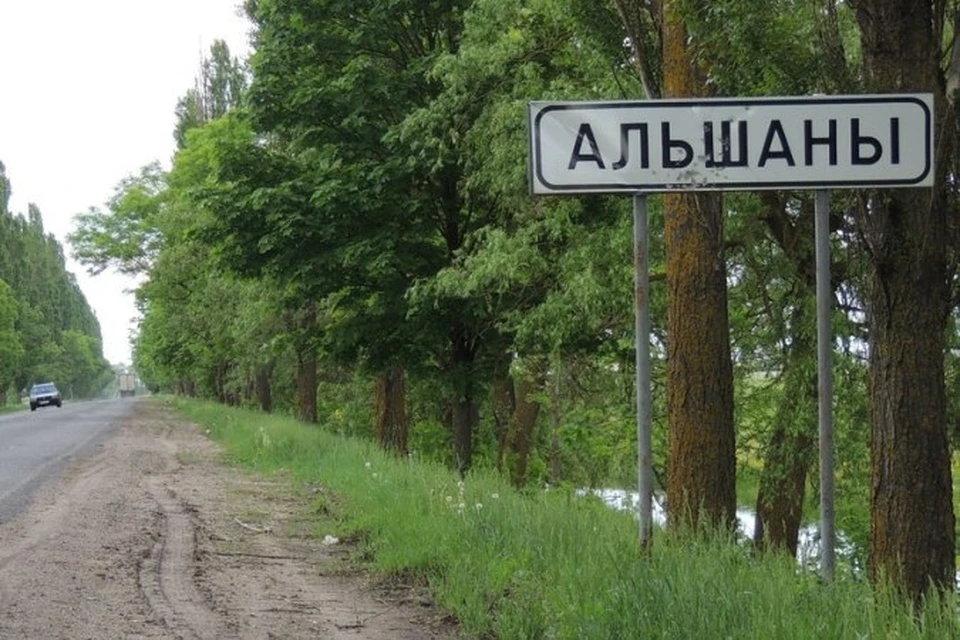 В Столинском районе малыш засунул голову в окно машины и задохнулся