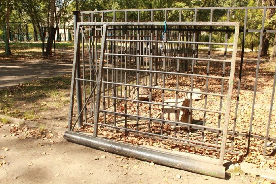 Те самые ворота во двор хабаровской школы "Ритм", убившие семилетнюю Свету