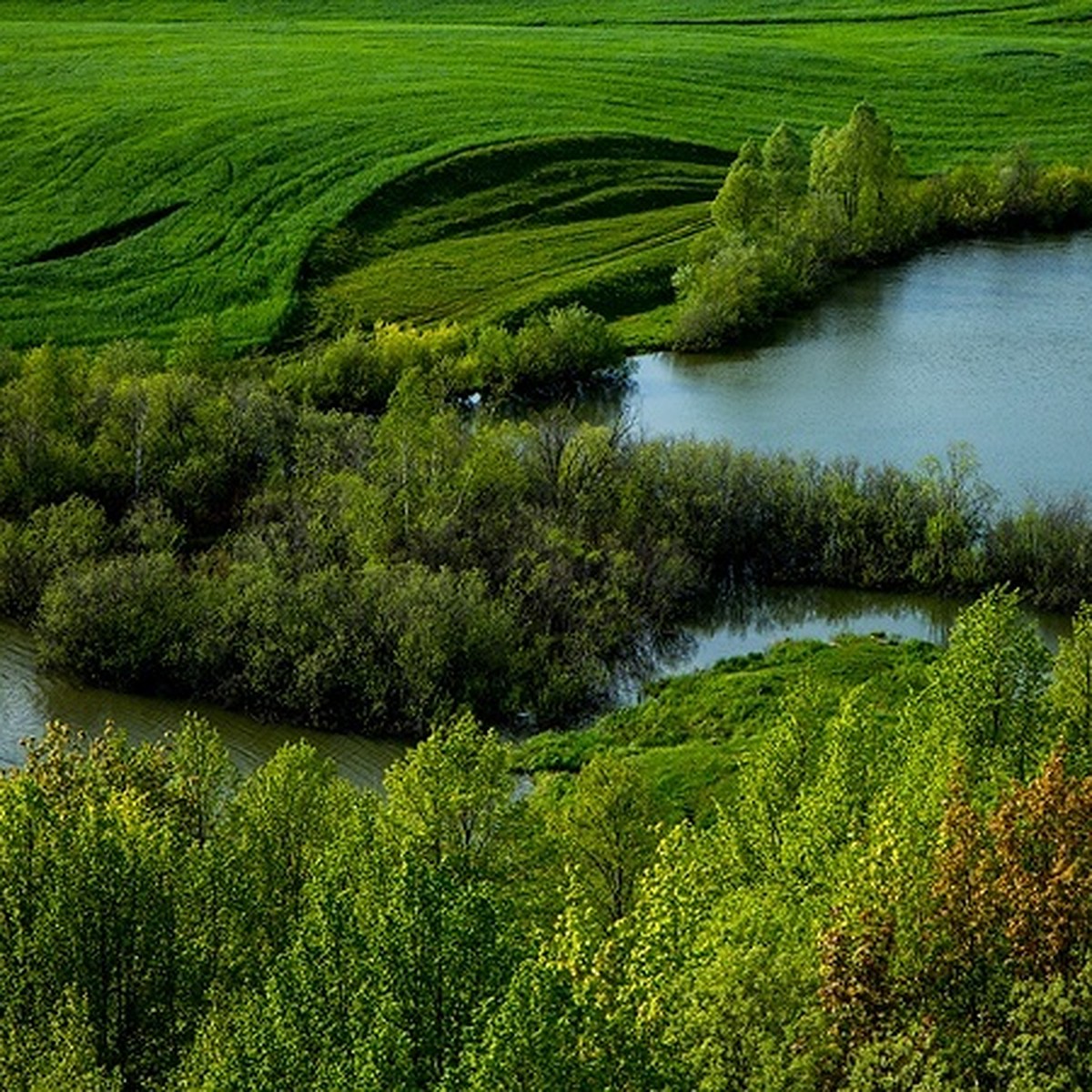 Озеро каракуль Татарстан
