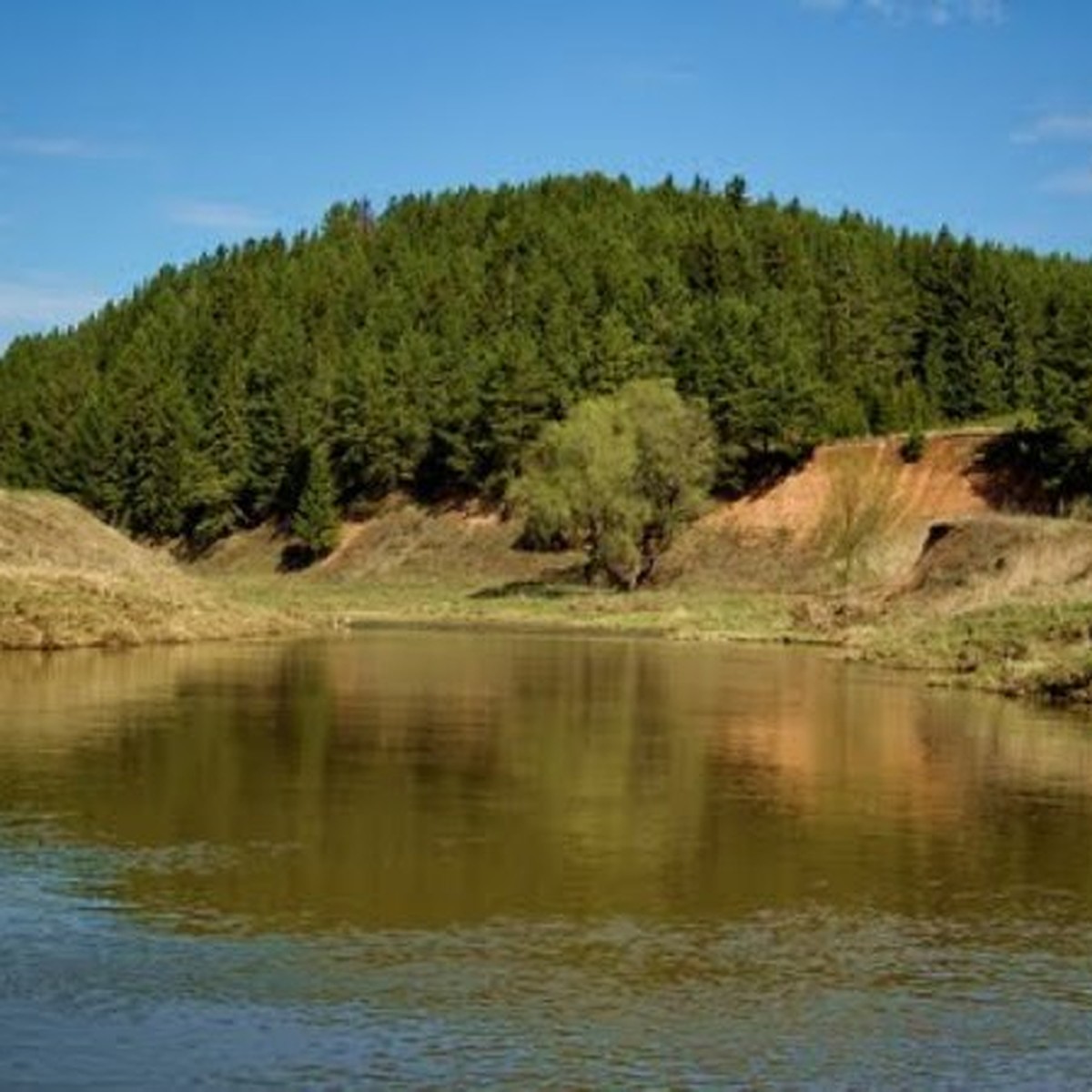Река лоза Чепца