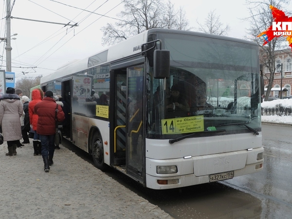 10 важных новшеств в работе пермского общественного транспорта - KP.RU