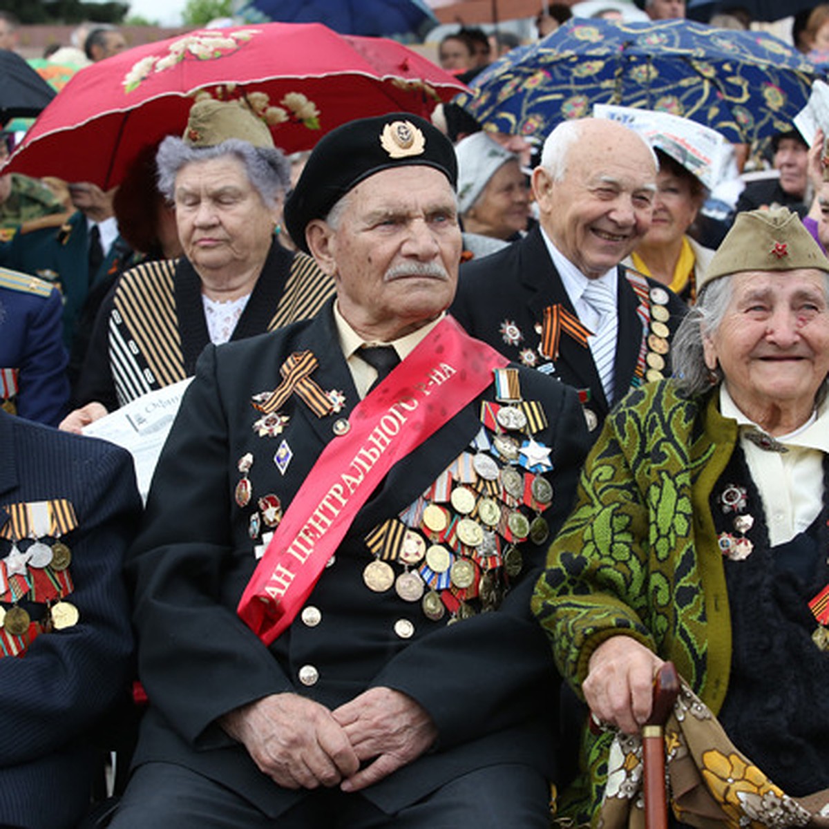 Ветеранов войны на Кубани убивает и грабит поколение 90-х - KP.RU