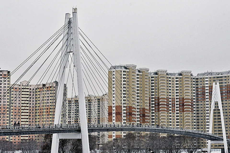 Когда будет мост павшинская пойма