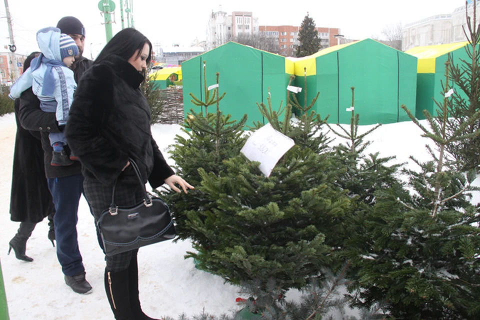 За метр елки продавцы просят 450 рублей.