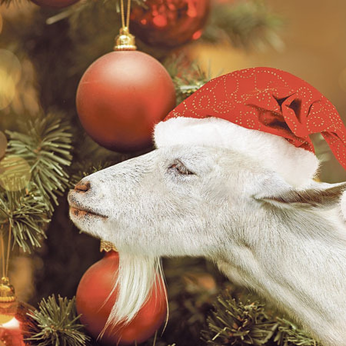 Новогодние подарки к 2015 году Козы-Овцы-Барана