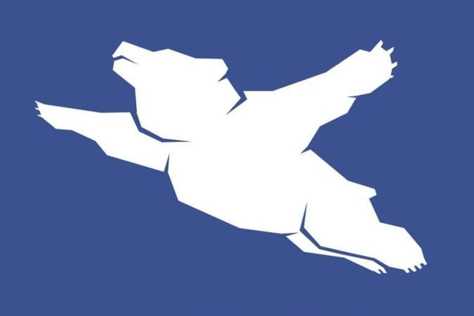 Медведь не является официальным логотипом хабаровского аэропорта,
