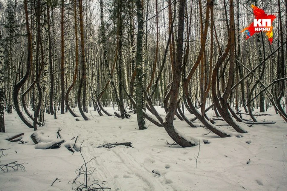 Фото: Андрей БАРАНЦЕВ.