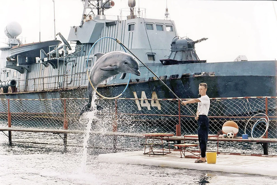 Последние полгода народ в Севастополе шепчется, мол, уникальную программу, скорее всего, воскресили.