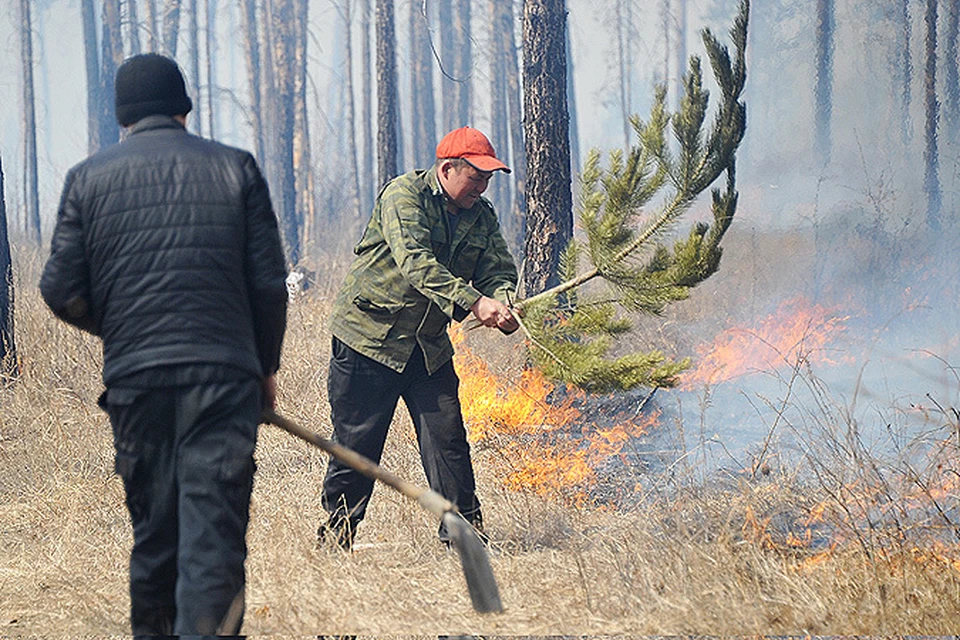 Эксперты рассказали "Комсомолке", как обезопасить себя от травяных пожаров.