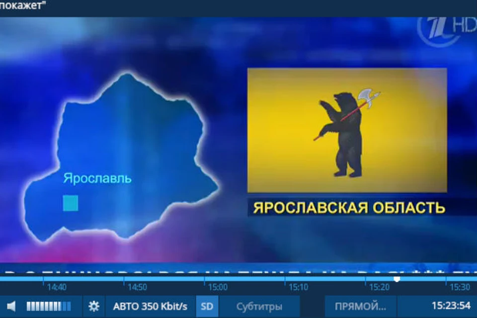 Жительница Ярославля позвонила на прямую линию с Путиным. Фото: скриншот с видео.