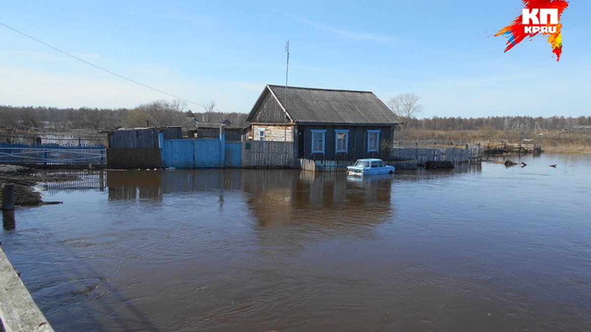 Впервые за 74 года разлилась старинная река Новосибирской области - KP.RU