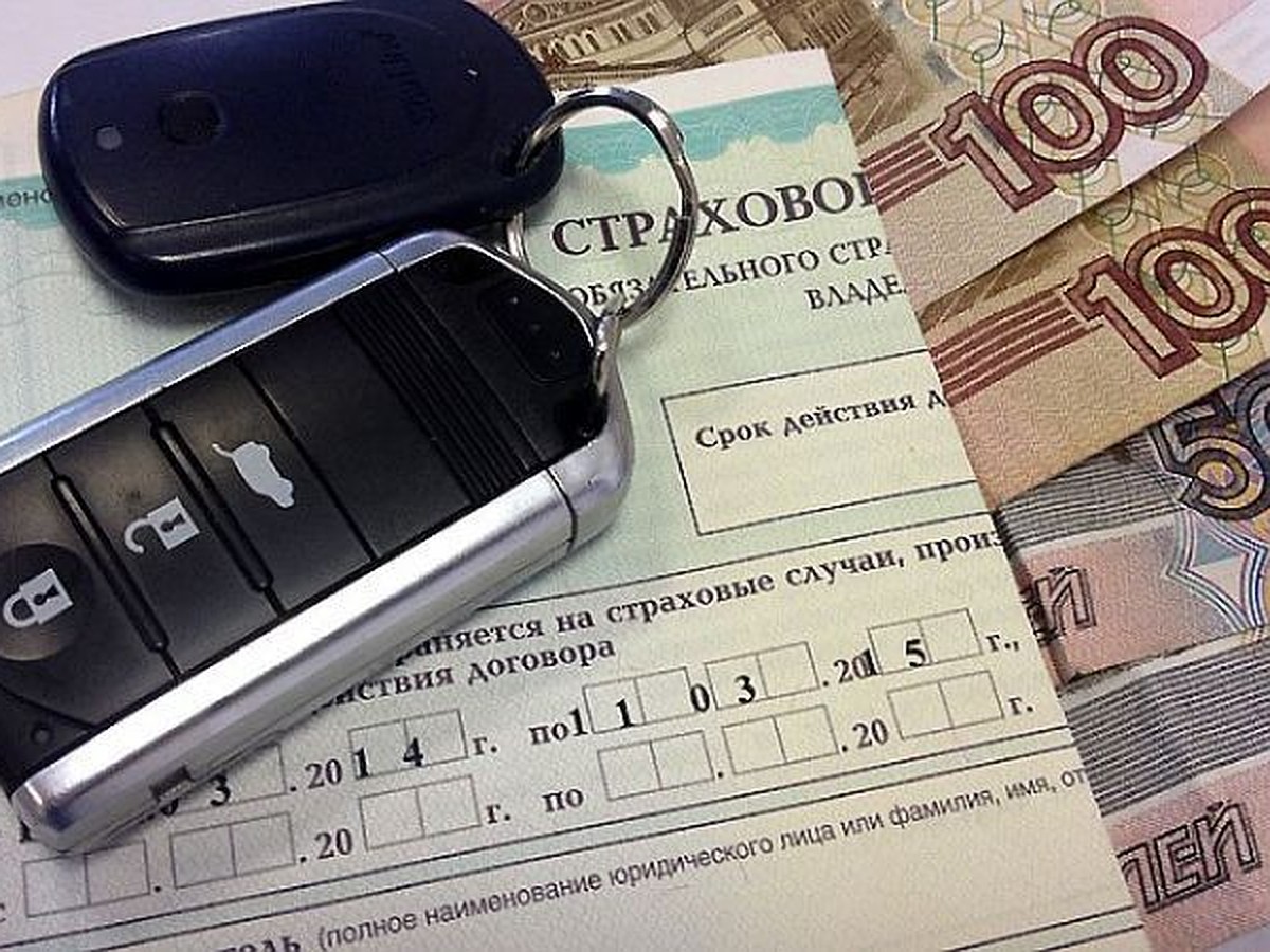 Поддельные полисы ОСАГО в Ижевске продают за 300 рублей - KP.RU