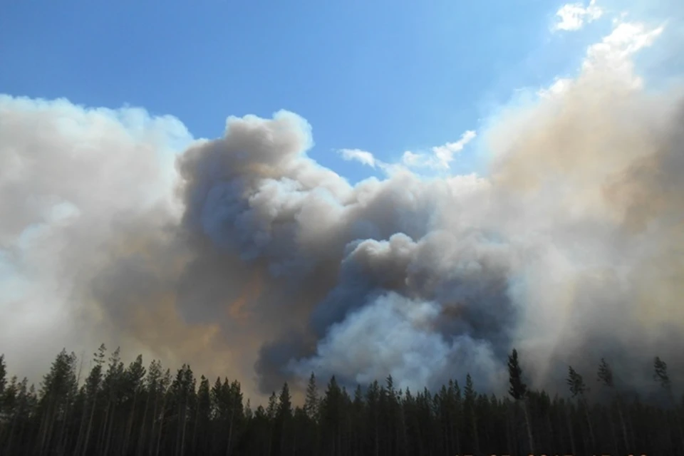 Лесные пожары в Бурятии: полыхает почти 32 тысячи гектаров